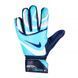 Рукавиці воротарські Nike NK GK MATCH JR - HO23 2
