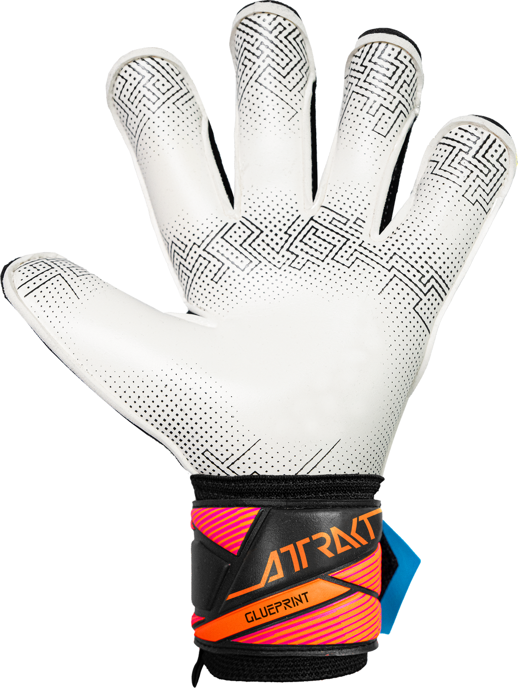Вратарские перчатки Reusch Attrakt Advance Evolution Glueprint, 10