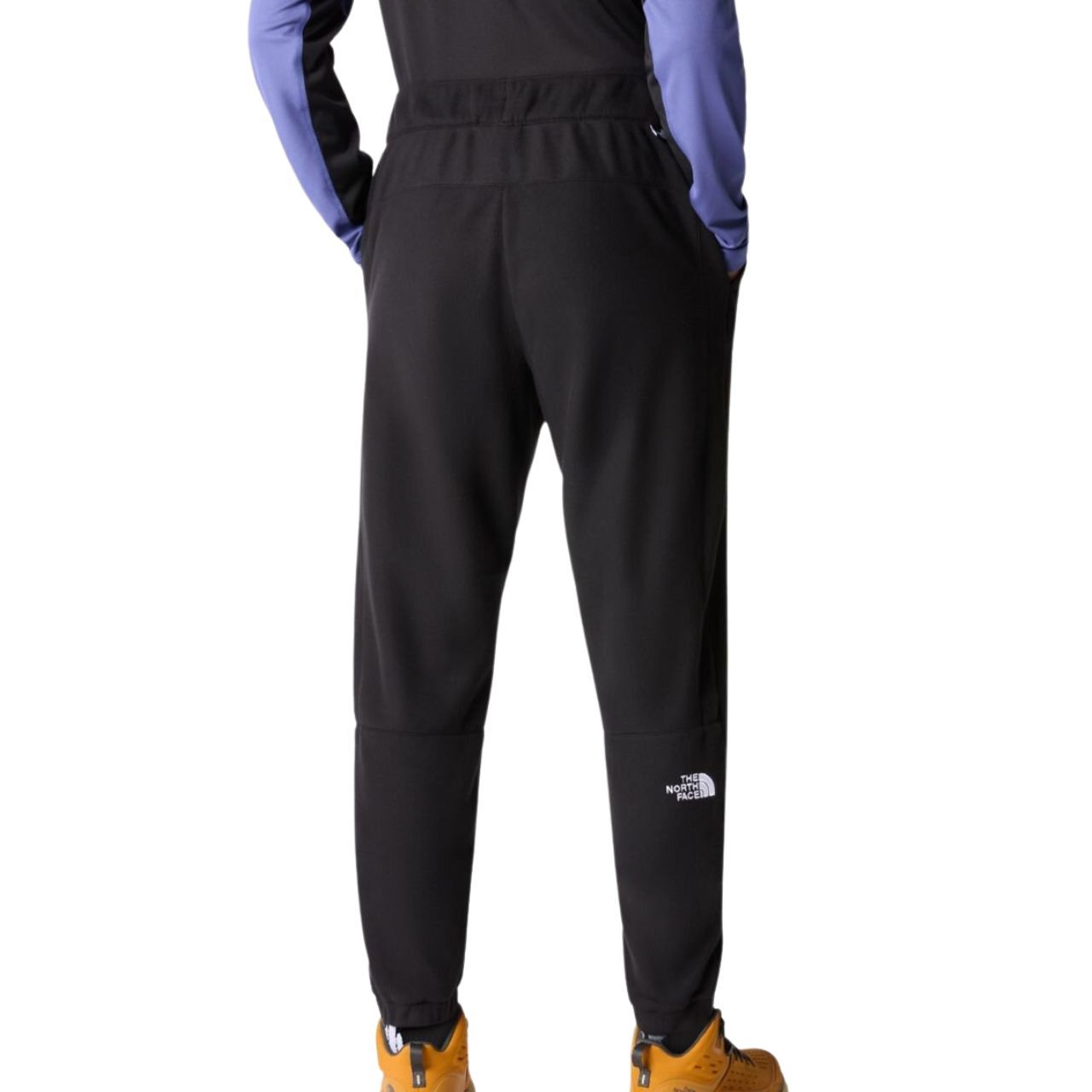 Штани The North Face M 100 GLACIER PANT купити