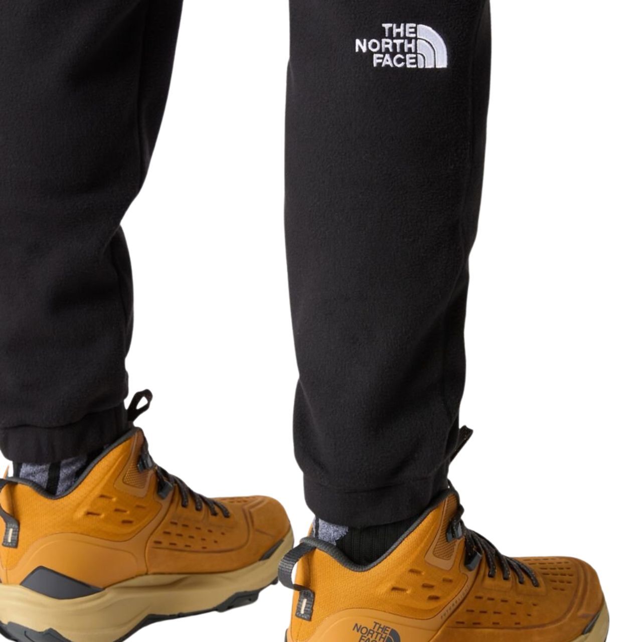 Штани The North Face M 100 GLACIER PANT купити