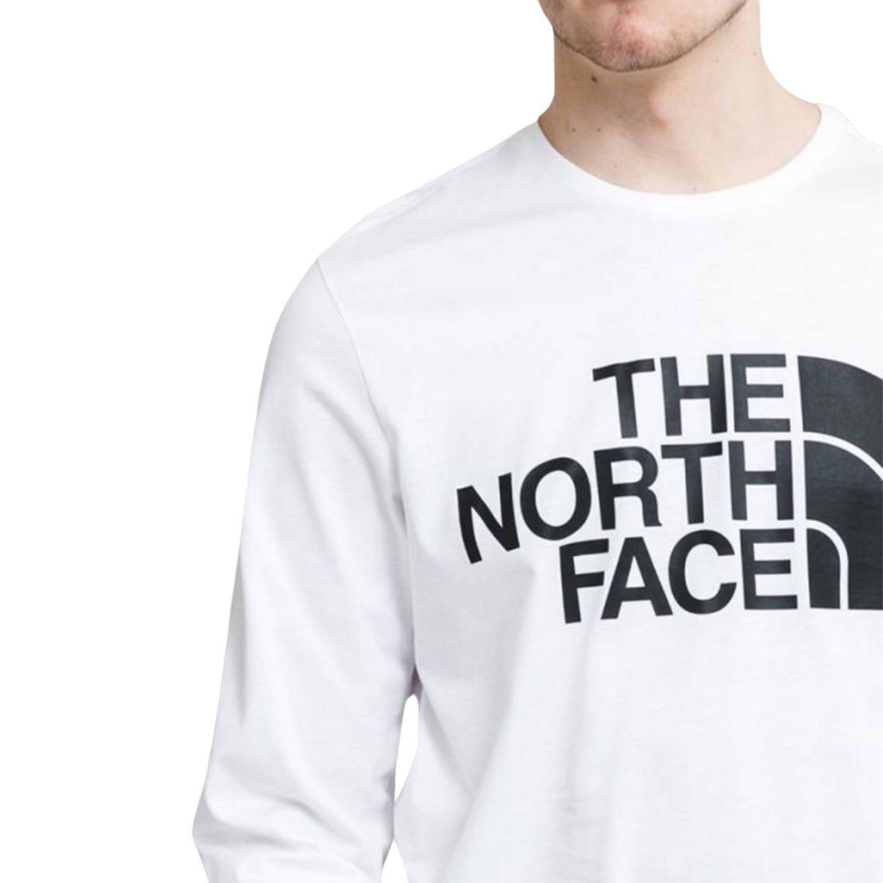 Лонгслів The North Face STANDARD LS TEE купить