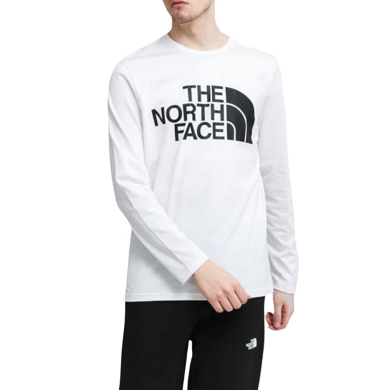 Лонгслів The North Face STANDARD LS TEE купити