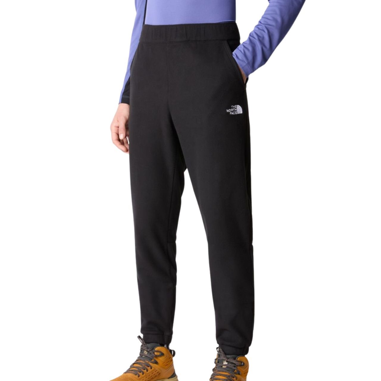 Штани The North Face M 100 GLACIER PANT купить