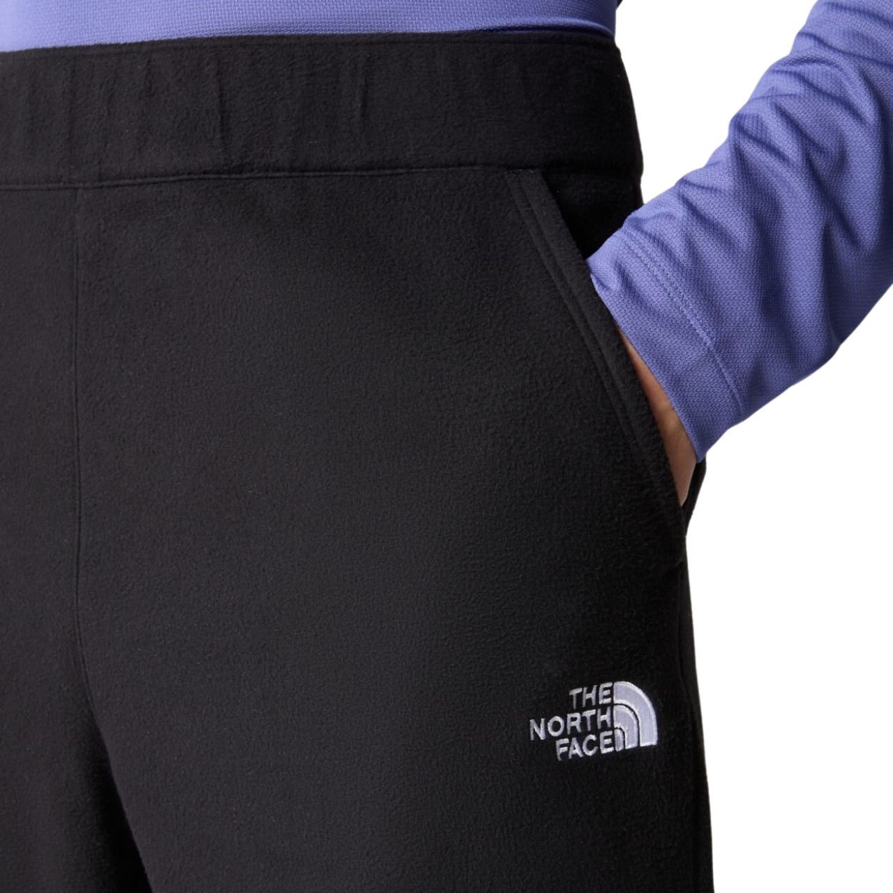 Штани The North Face M 100 GLACIER PANT купить