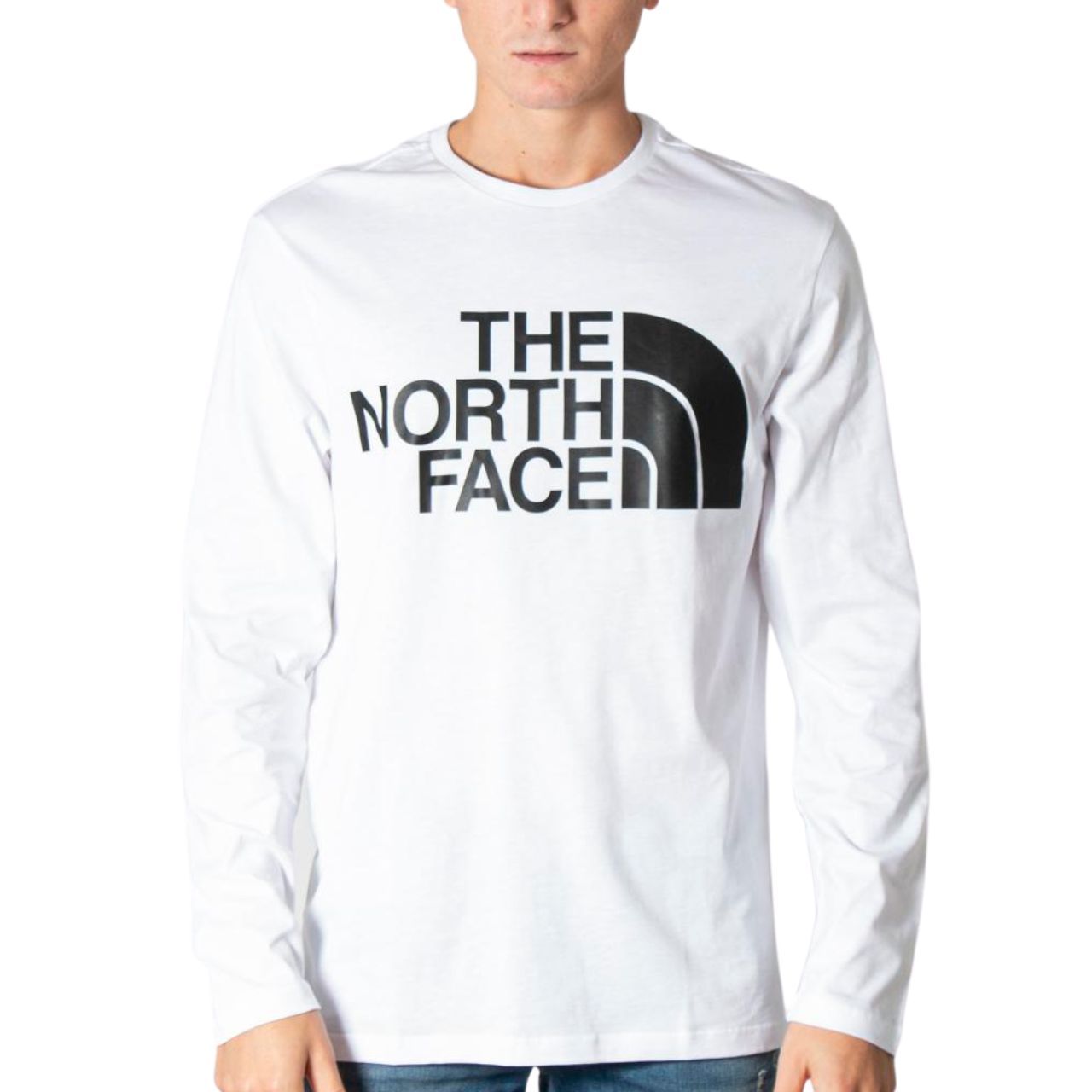 Лонгслів The North Face STANDARD LS TEE купити