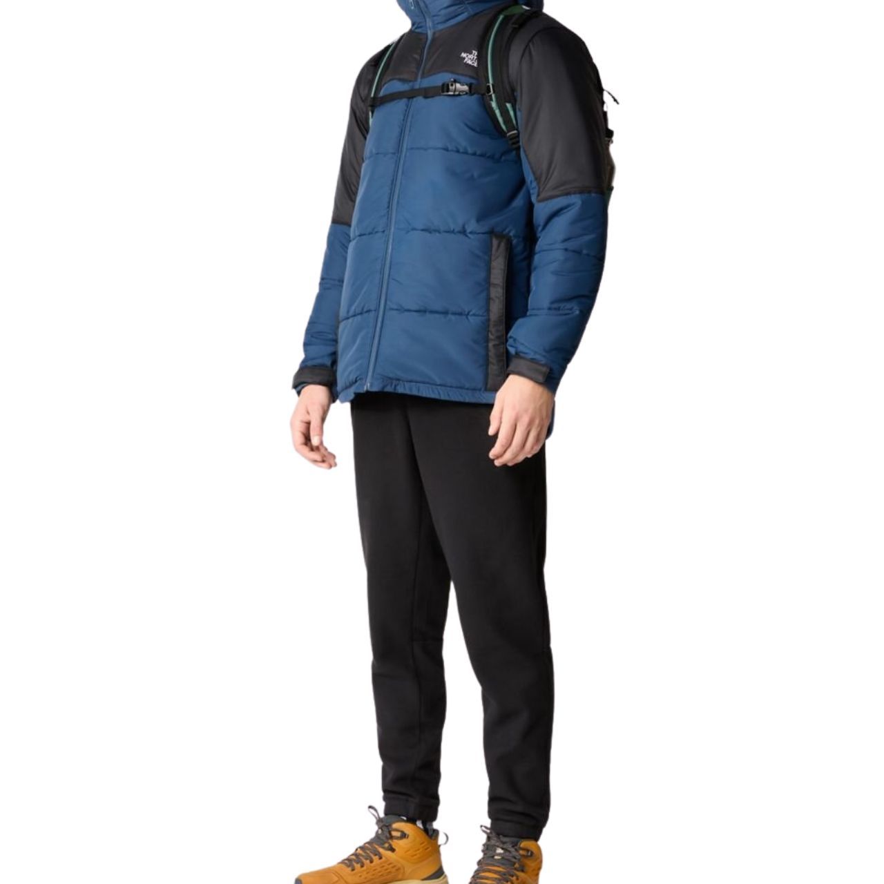 Штани The North Face M 100 GLACIER PANT купить