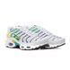 Кроссовки Nike W AIR MAX PLUS 5