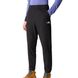 Штани The North Face M 100 GLACIER PANT 1