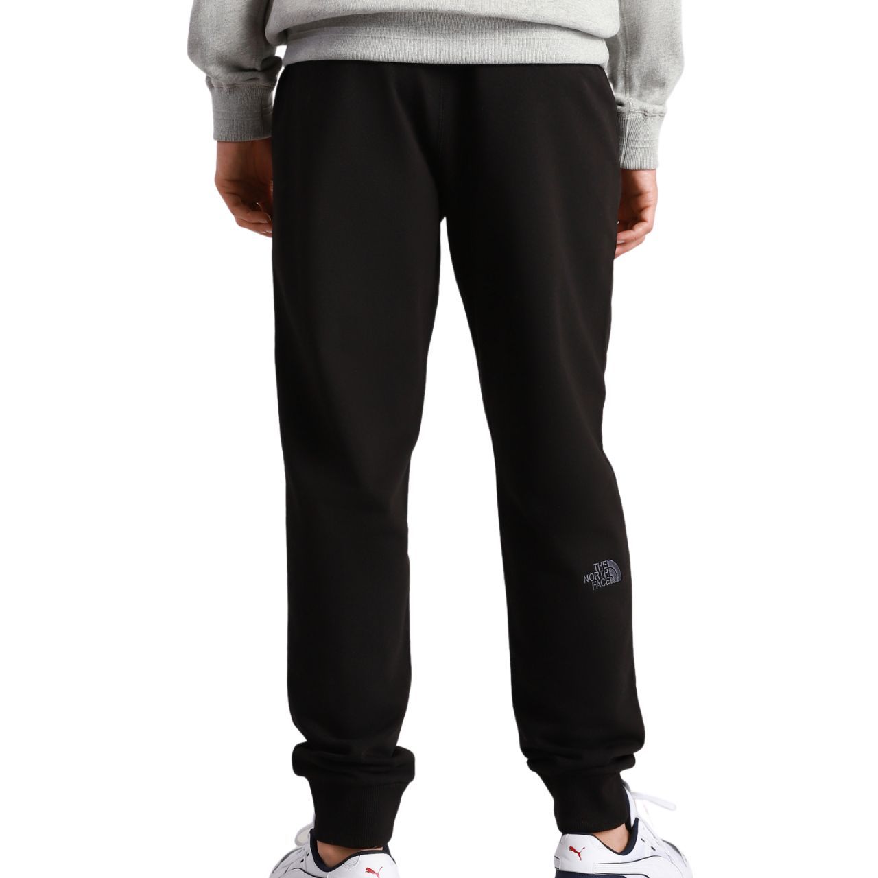 Штани The North Face Nse Light Pant купити