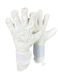 Вратарские перчатки RG ASPRO 2022-2023 1