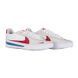 Кросівки Nike BRSB 5
