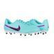 Бутси Nike Tiempo Legend 10 Club FG/MG Junior 1