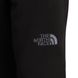 Штани The North Face Nse Light Pant 4