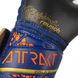 Вратарские перчатки Reusch Attrakt Gold X Junior premium blue/gold/black 4