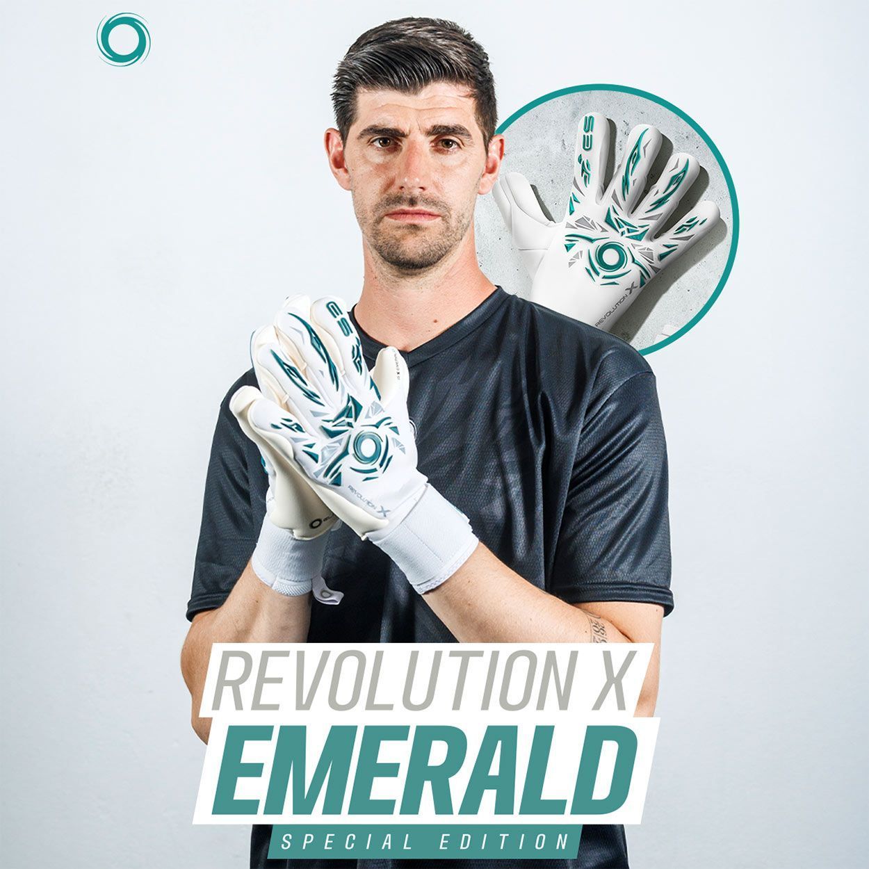 Вратарские перчатки ELITE SPORT REVOLUTION X EMERALD купить