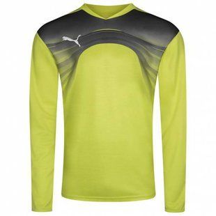 Кофта воротаря Puma Goalkeeper 700785-32 купити