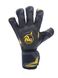Воротарські рукавиці RG Aspro Black/Golden 2