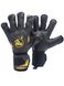 Воротарські рукавиці RG Aspro Black/Golden 1