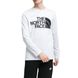 Лонгслів The North Face STANDARD LS TEE 3