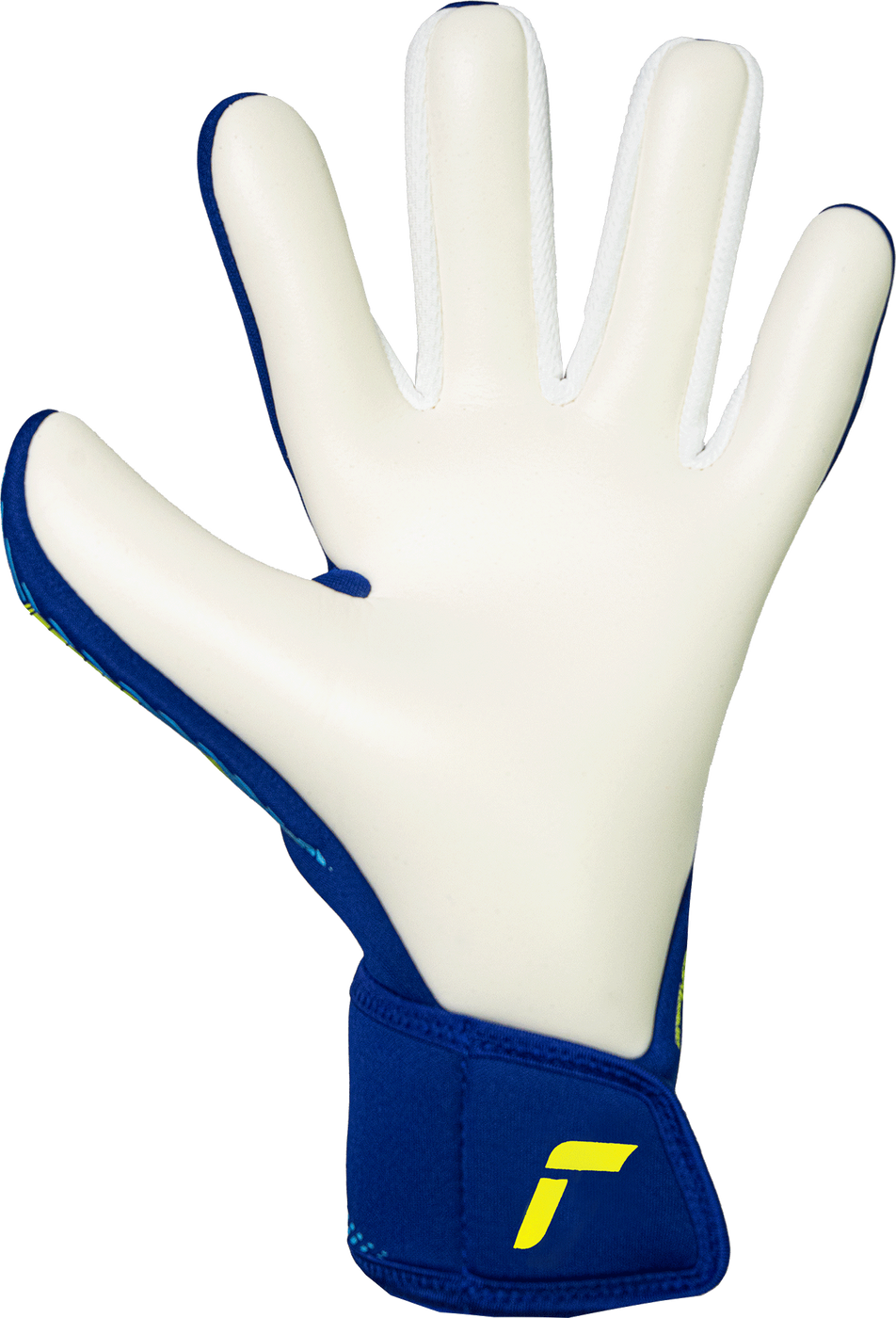 Вратарские перчатки Reusch Fastgrip Advance, 10