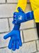 Вратарские перчатки RG AQUA 2022-2023 4