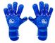 Вратарские перчатки RG AQUA 2022-2023 2