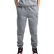 Штани JORDAN JUMPMAN SUSTAINABLE PANT 1