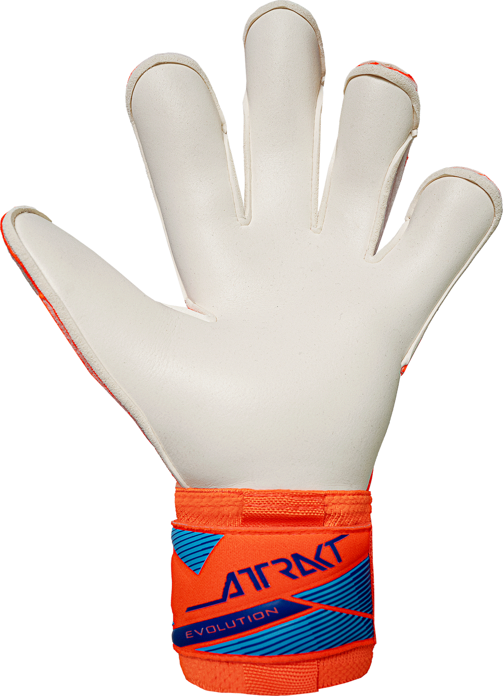 Вратарские перчатки Reusch Attrakt Gold X Evolution, 10.5