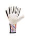 Вратарские перчатки RG Snaga FS 2023-2024 3