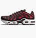 Кросівки Nike Air Max Plus Bred (2021) (GS) 1