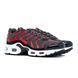 Кросівки Nike Air Max Plus Bred (2021) (GS) 2