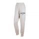 Штани Nike W NSW PHNX FLC MR STD LOGO PNT 1