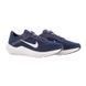 Кросівки Nike AIR WINFLO 10 5