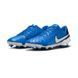 Бутси Nike LEGEND 10 CLUB FG/MG 1