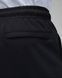 Штани JORDAN M J ESS STMT FLC PANT 2