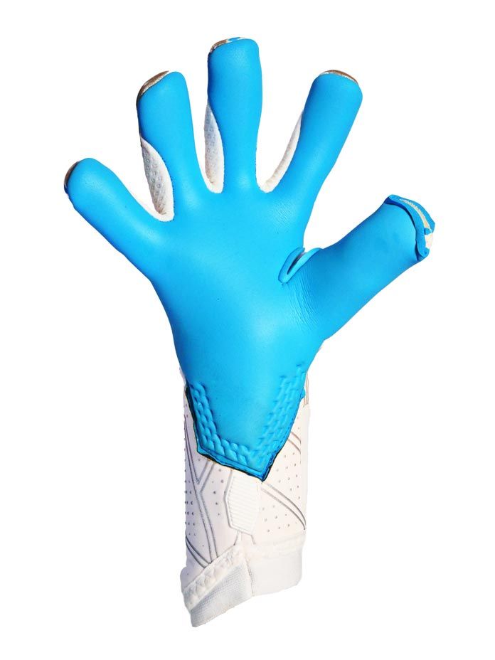 Вратарские перчатки RG BIONIX CHR 2022-2023 купить