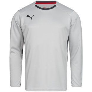 Кофта воротаря Puma V1.08 700466-16 купити