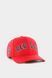 Бейсболка 47 Brand DP BOSTON RED SOX 2