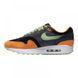 Кросівки Nike Air Max 1 PRM Duck Honey Dew 1