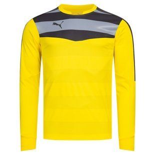 Кофта PUMA Stadium GK 702089-55 купити
