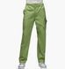 Штани Air Jordan Essentials Chicago Pants Green 1