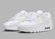 Кросівки жіночі Nike Air Max 90 (FV0949-100) 1