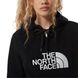 Толстовка The North Face 2