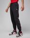 Штани JORDAN M J FLT MVP HBR FLC PANT 1