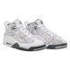 Кросівки JORDAN AIR JORDAN DUB ZERO (GS) 5