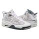 Кросівки JORDAN AIR JORDAN DUB ZERO (GS) 1