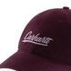 Бейсболка Carhartt Script Logo Cap 3