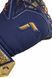 Вратарские перчатки Reusch Attrakt Freegel Silver NC premium blue/gold/black 2