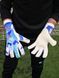 Вратарские перчатки RG BIONIX White-Blue 5