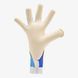 Вратарские перчатки RG BIONIX White-Blue 3
